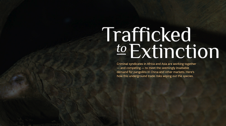 Trafficked to Extinction